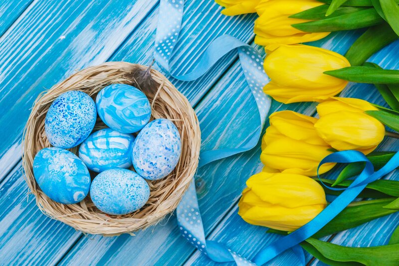 Blue Painted Eggs in Nest
