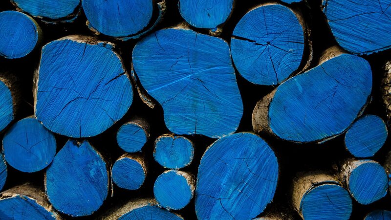 Blue-painted Logs