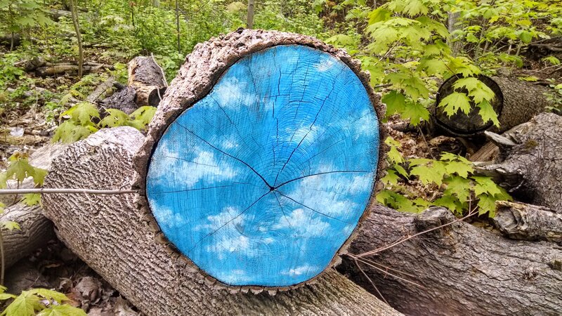 Blue-painted Tree Stump