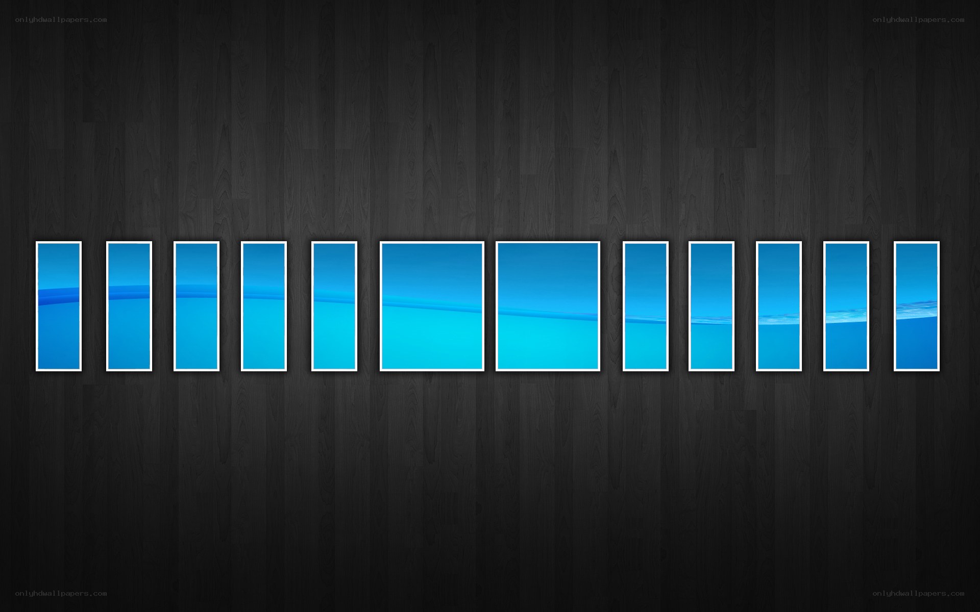 blue panels on dark wood