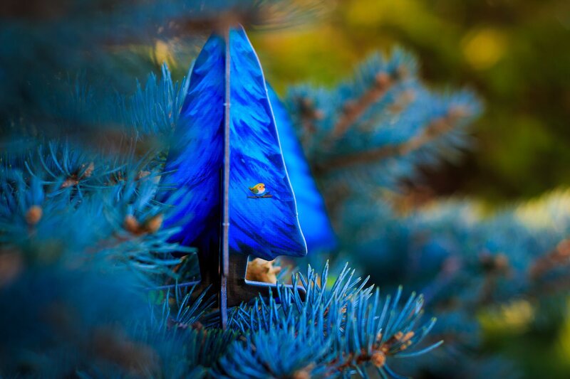 Blue Paper Tree in Pine