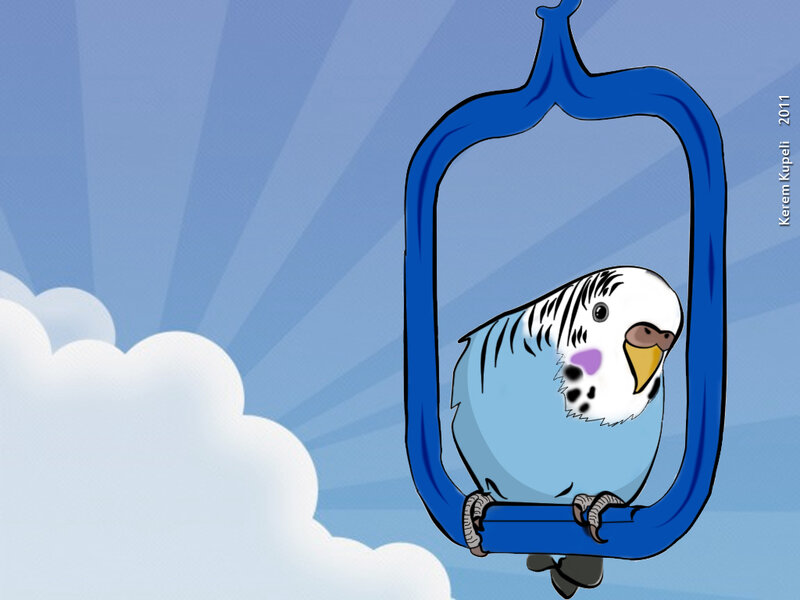 Blue Parakeet in Cage