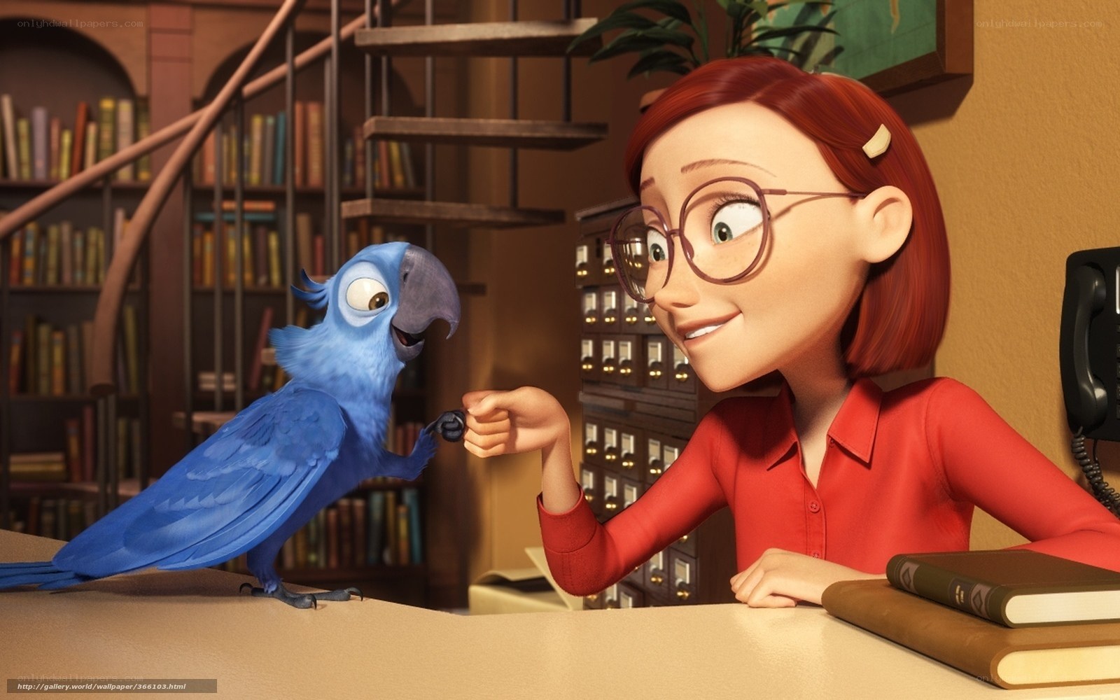 Blue parrot and woman at desk