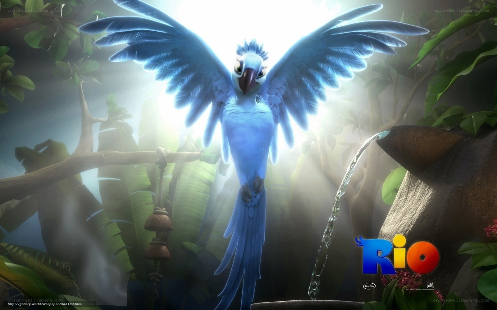 Blue parrot in jungle