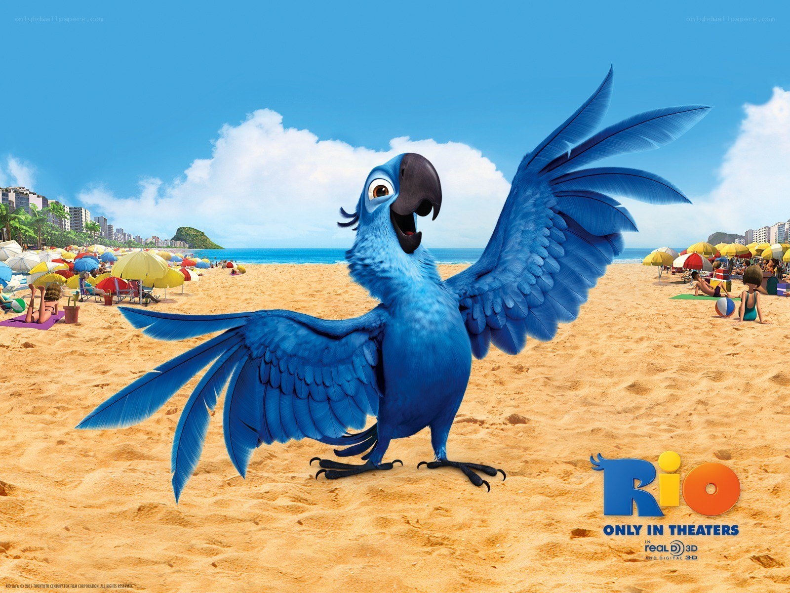 Blue parrot on a beach