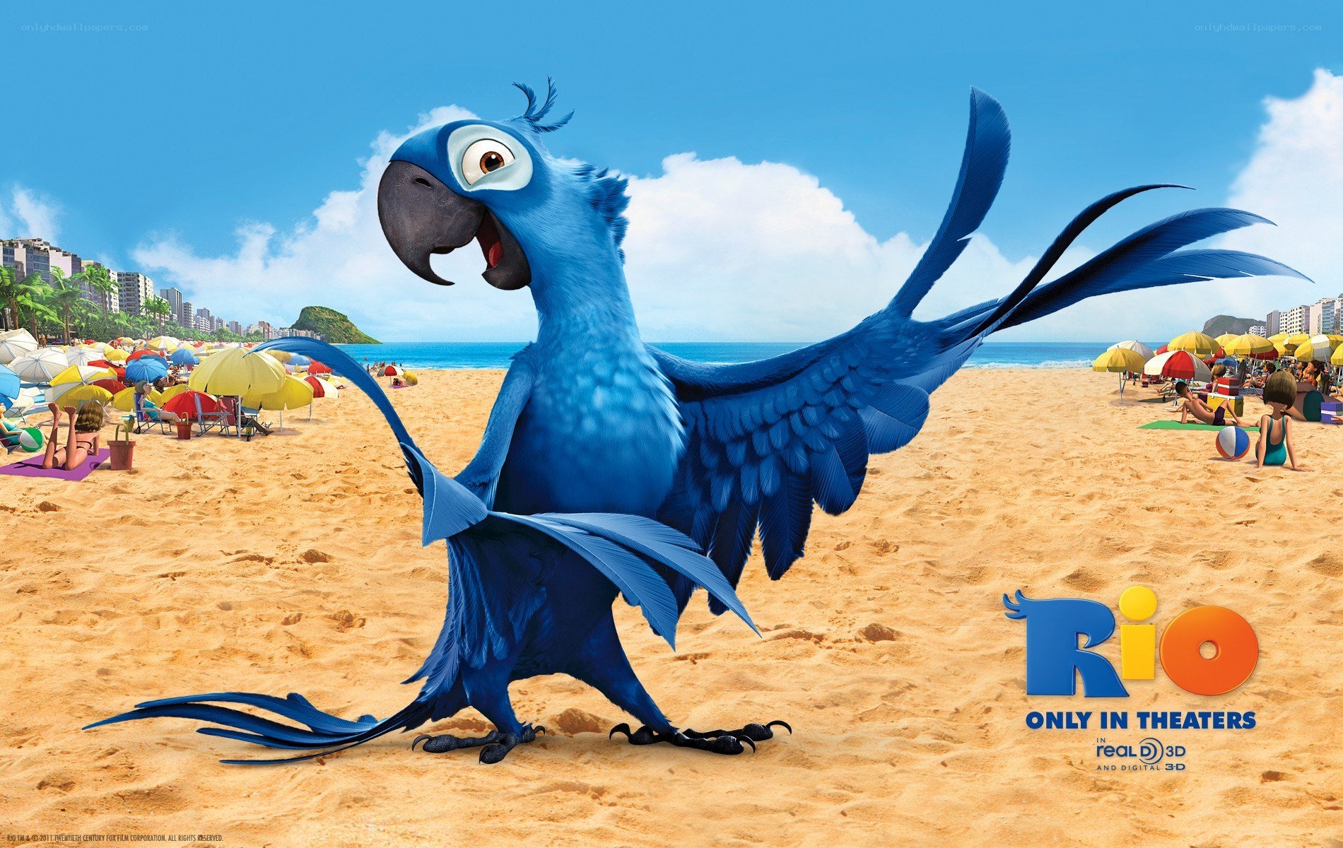 Blue parrot on a beach
