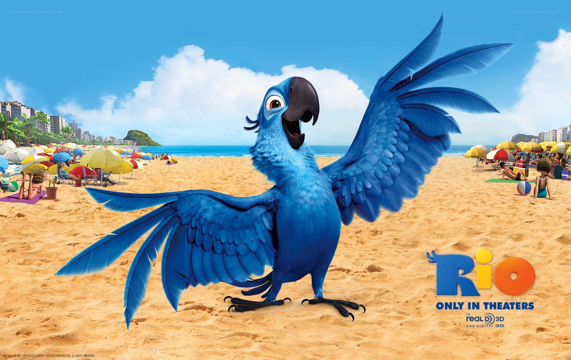 Blue parrot on a beach