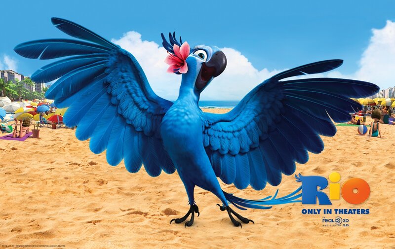 Blue parrot on a beach