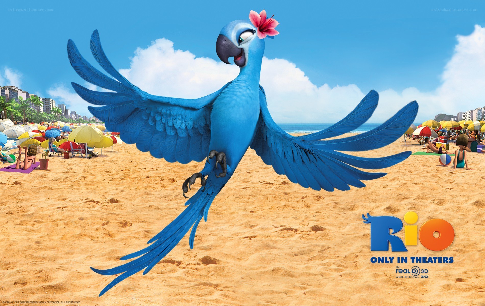 Blue parrot on a beach