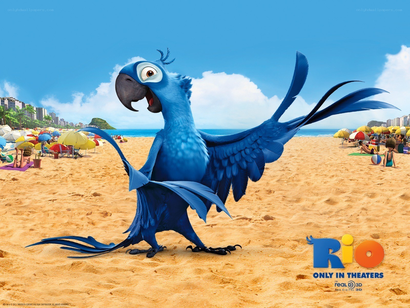 Blue parrot on a beach