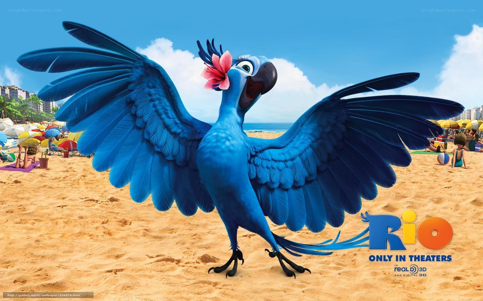 Blue parrot on a beach