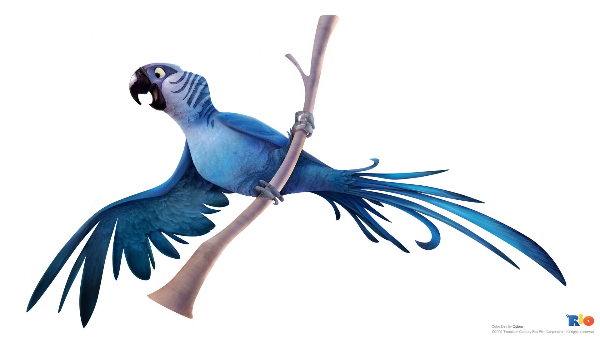 blue parrot on a branch
