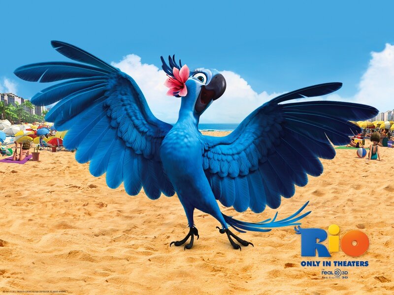 Blue parrot on beach