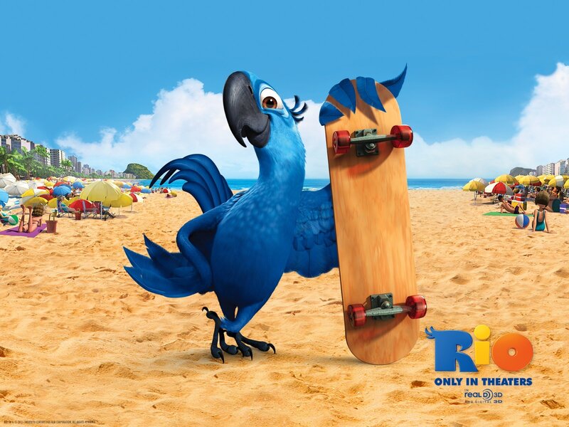 Blue parrot on beach with skateboard
