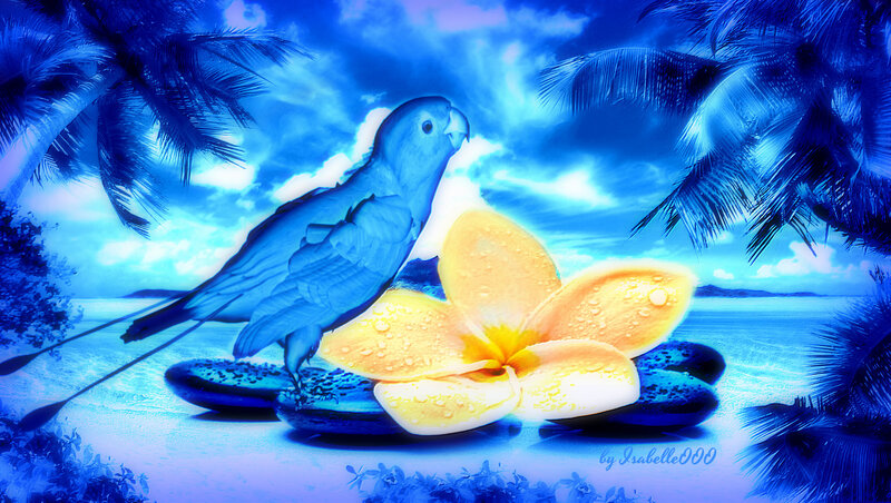 Blue Parrot on Flower
