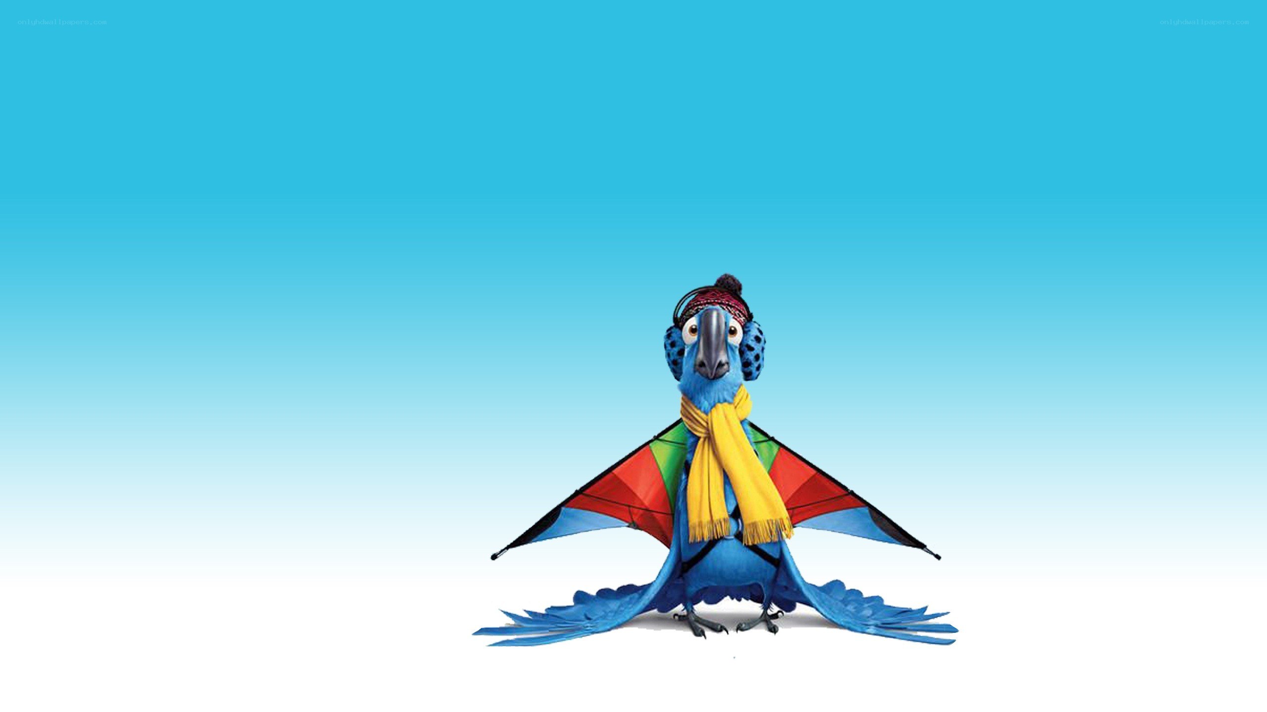 blue parrot with scarf