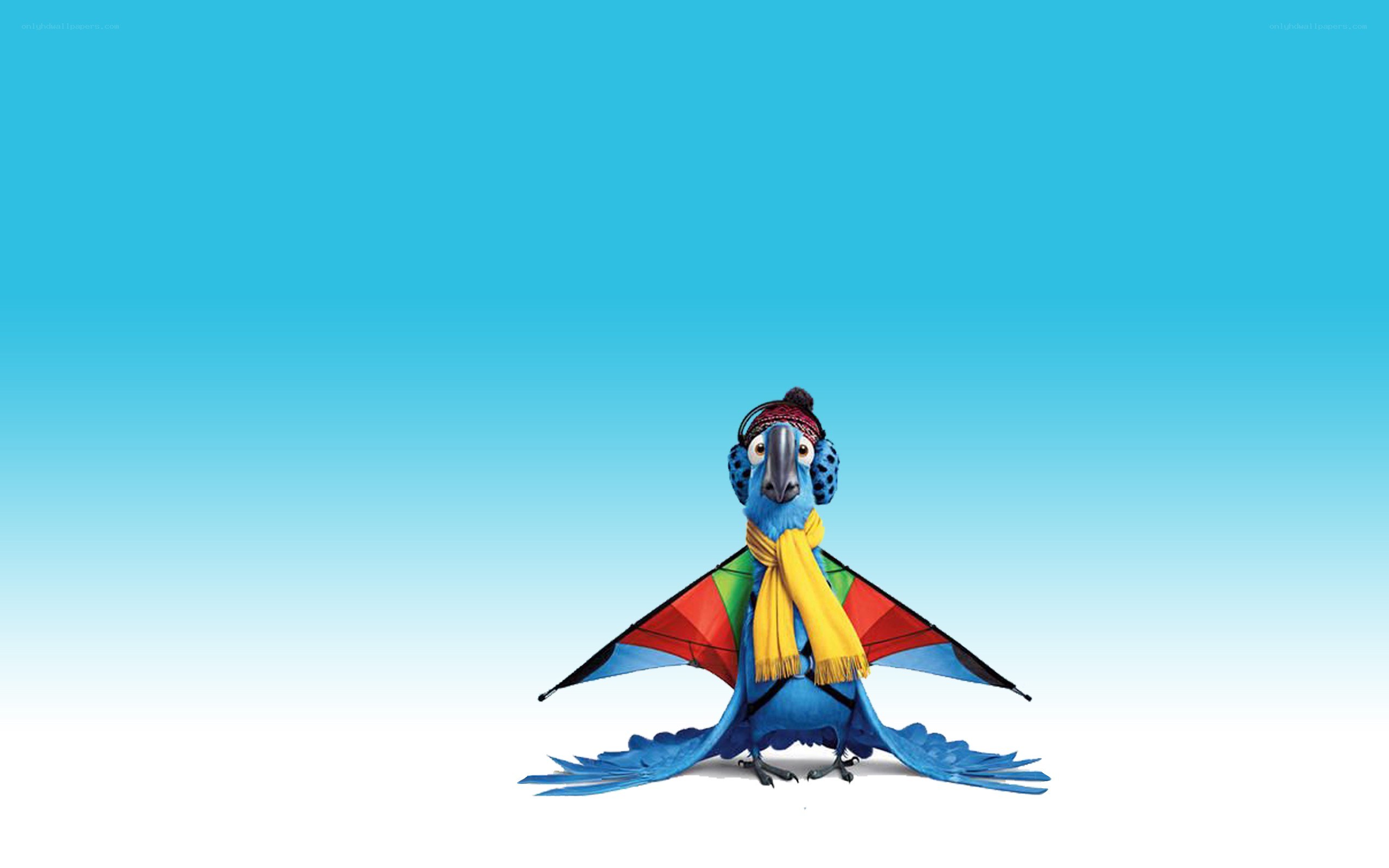 blue parrot with scarf