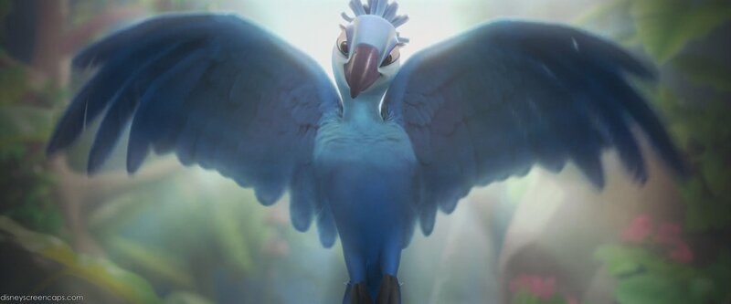 blue parrot with wings spread