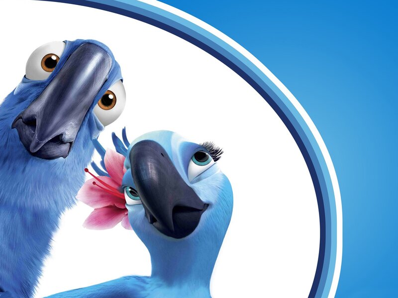 Blue Parrots in Close-up — Playful