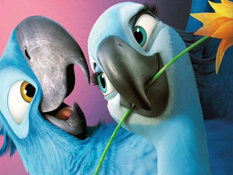 Blue Parrots in Close-up