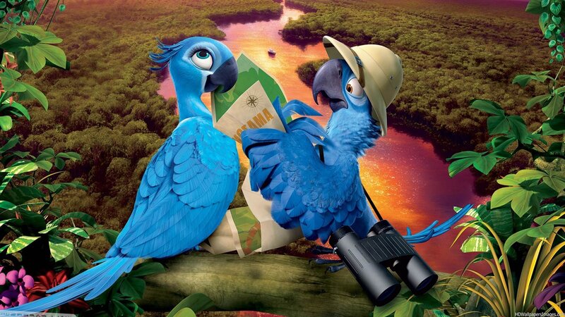 Blue Parrots in Jungle — Adventurous, Sunset