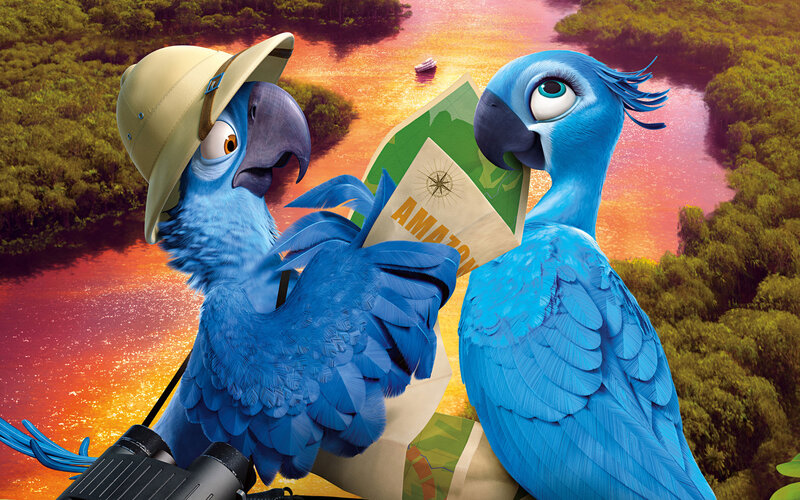 Blue Parrots in Jungle — Adventurous