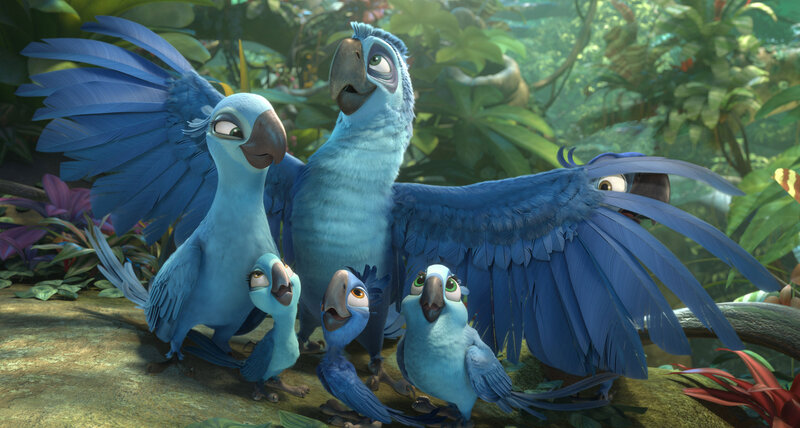 Blue Parrots in Jungle — Calm