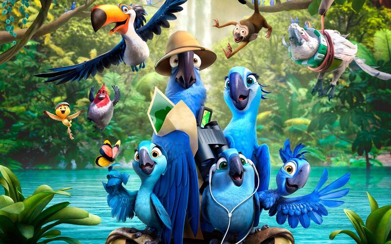 Blue Parrots in Jungle