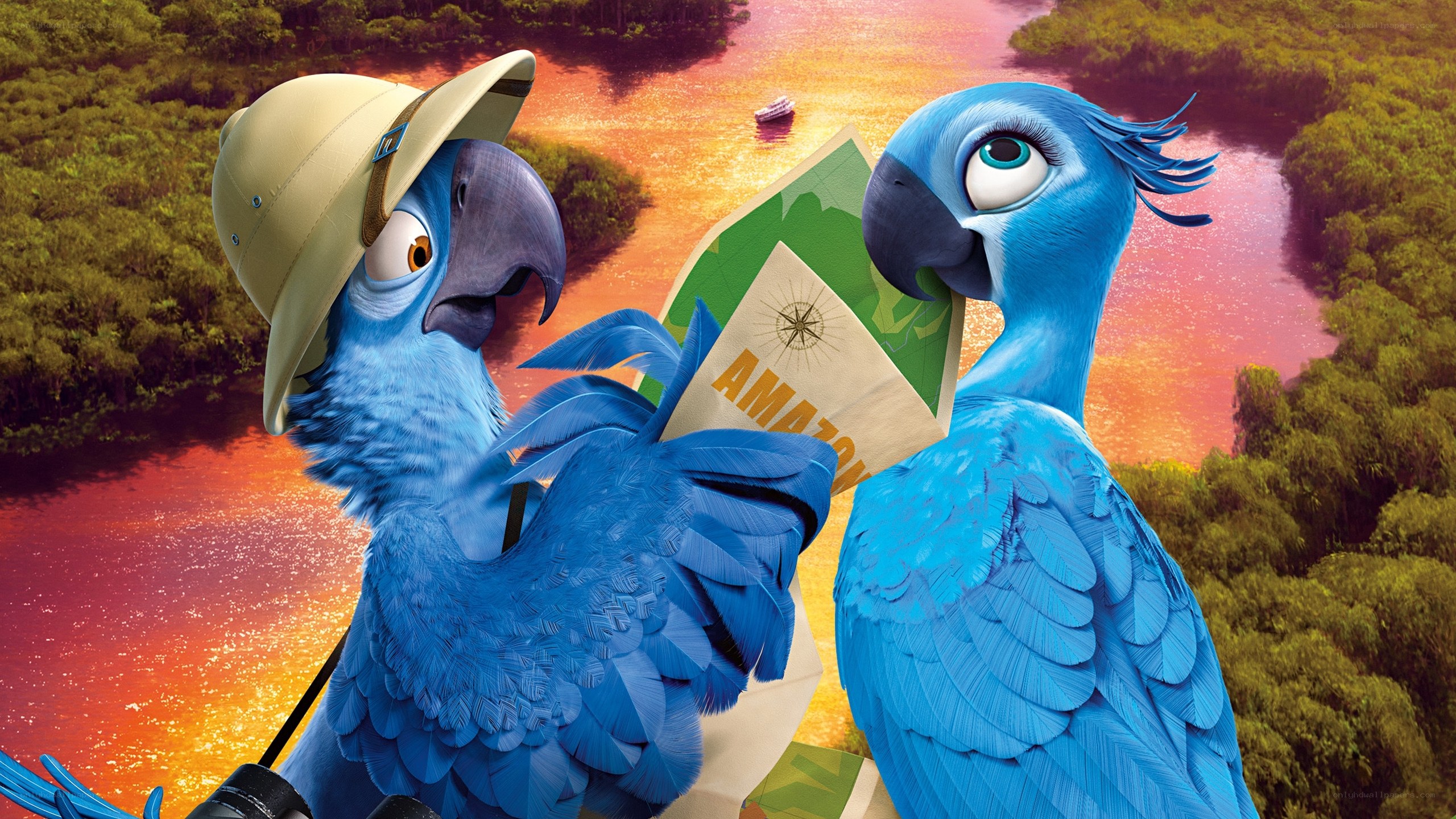 Blue parrots on Amazon adventure