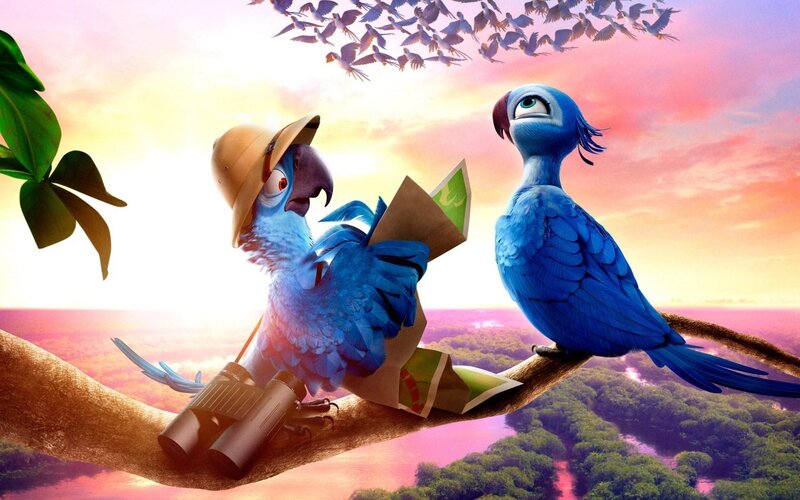 Blue Parrots on Branch — Adventurous, Sunset