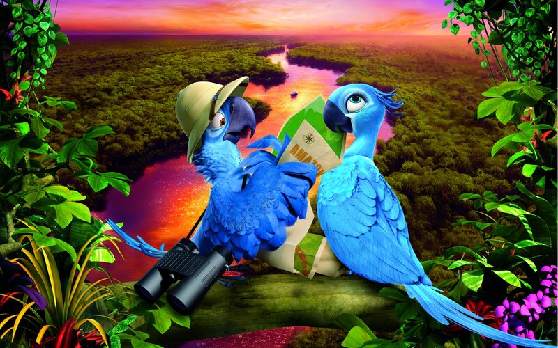 Blue Parrots on Branch — Adventurous