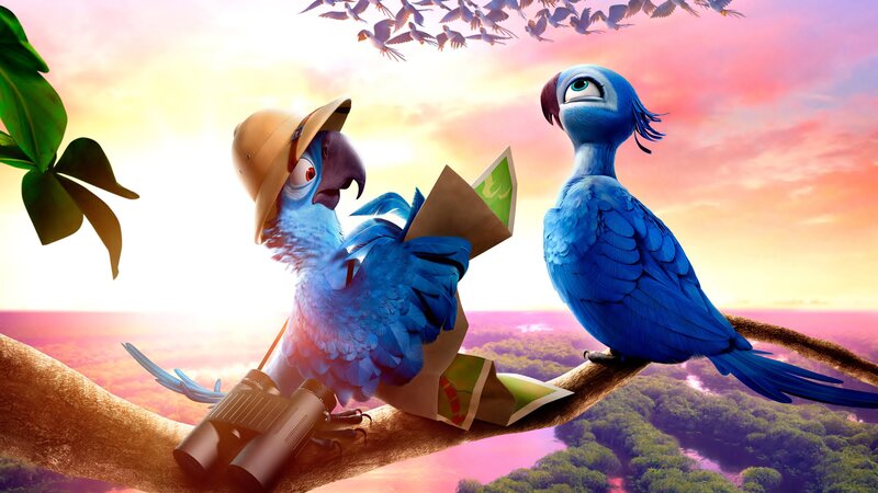 Blue Parrots on Branch