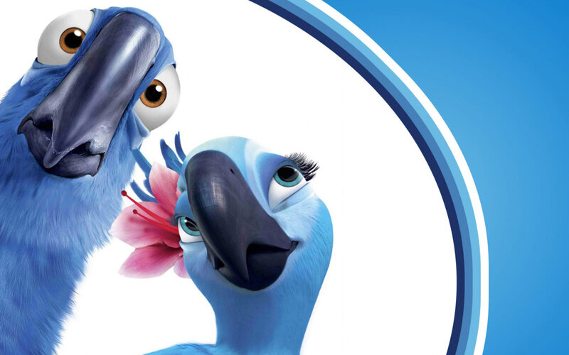 Blue Parrots with Flower — Playful