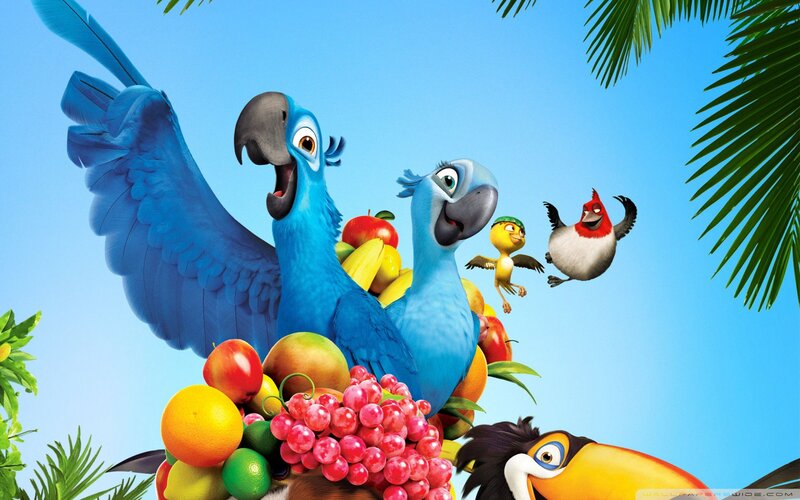 Blue Parrots with Fruit