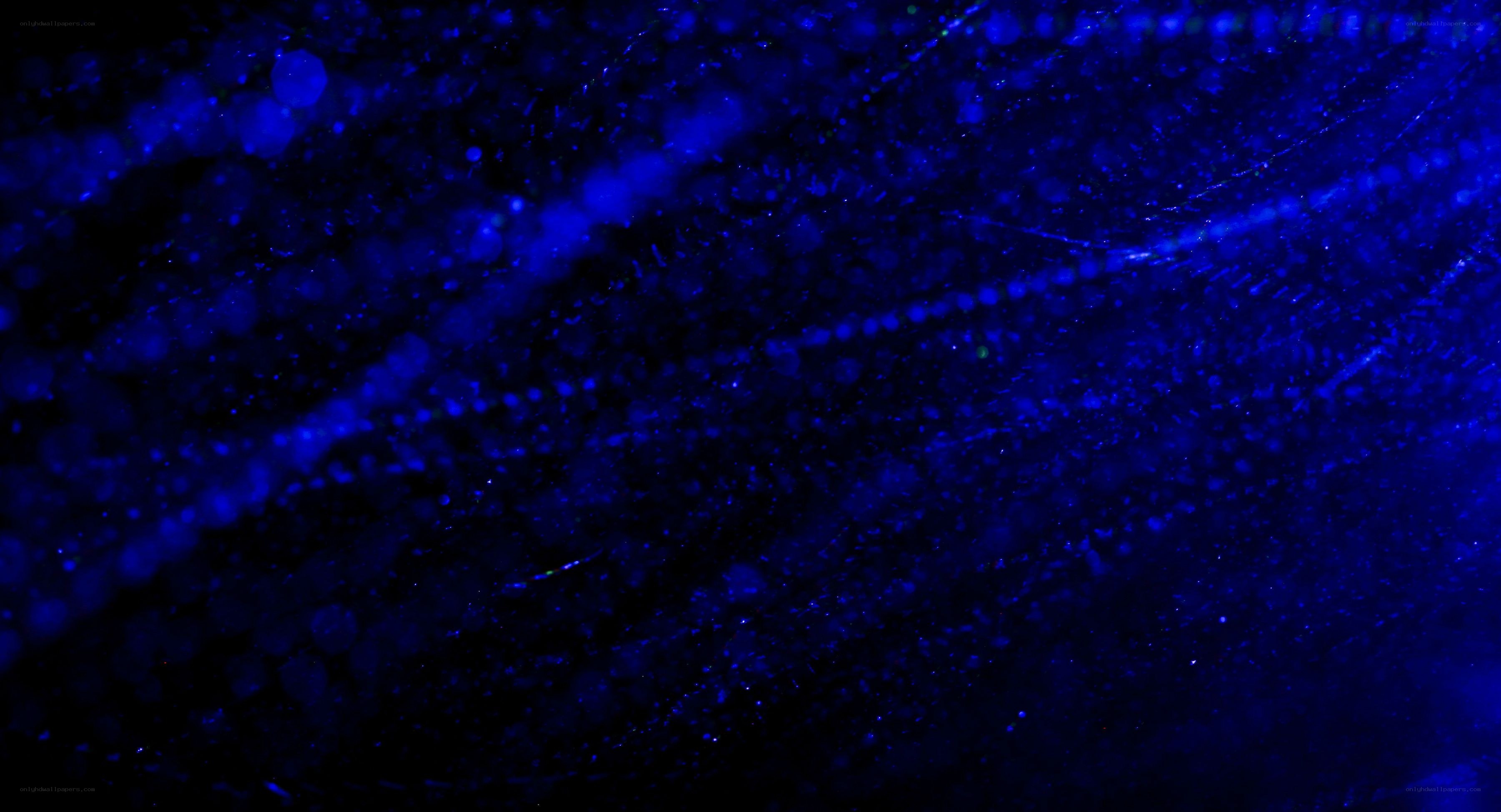 blue particle motion background