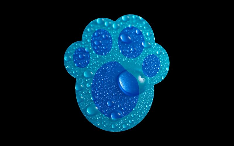 blue paw print with water droplets