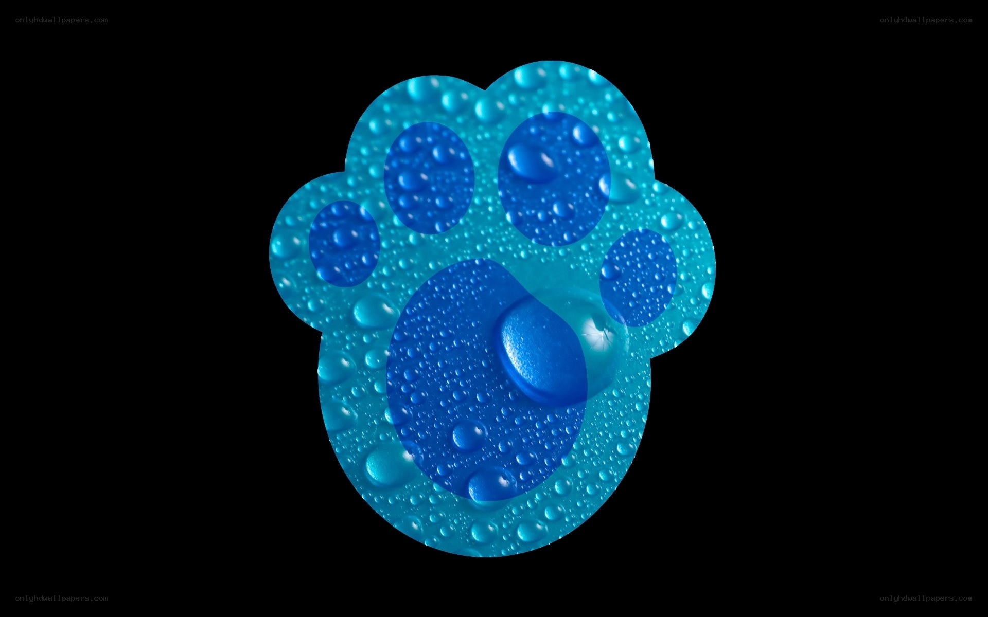 blue paw print with water droplets