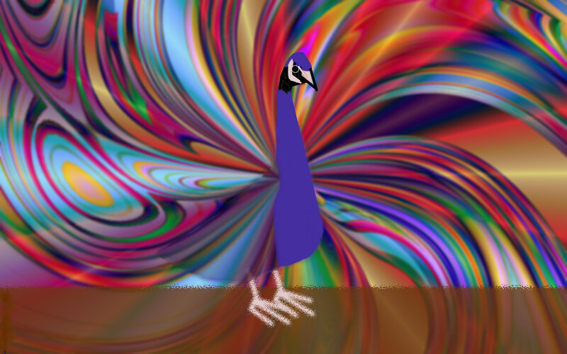 Blue Peacock