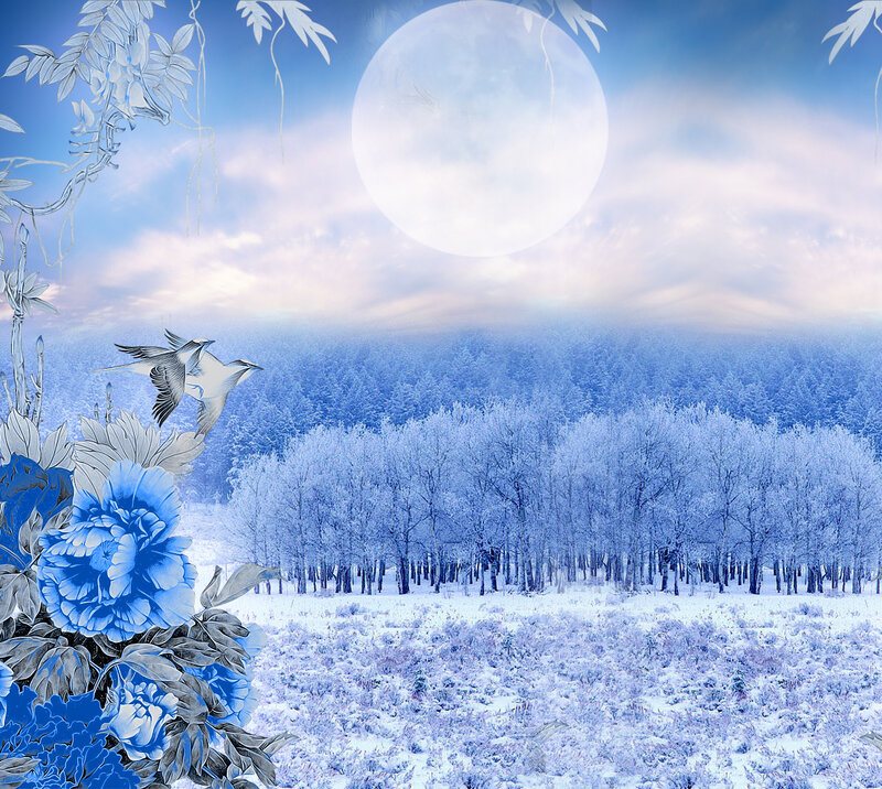 Blue Peonies in Snow
