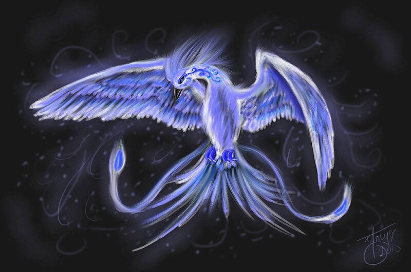 Blue Phoenix Bird — Dramatic, Night