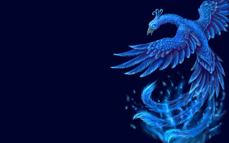 blue phoenix in flight
