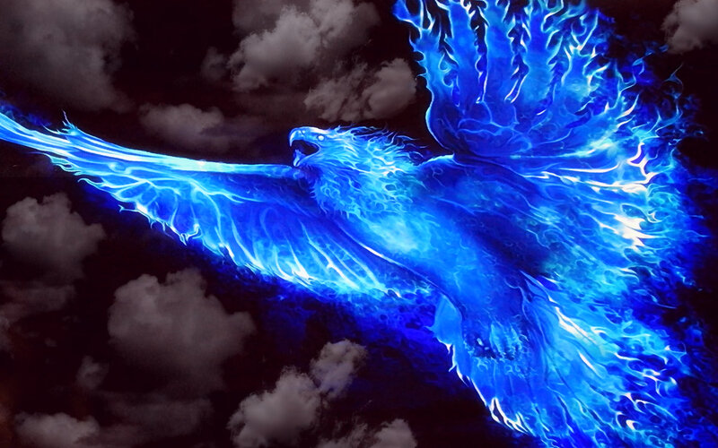 Blue Phoenix in Flight — Dramatic, Night