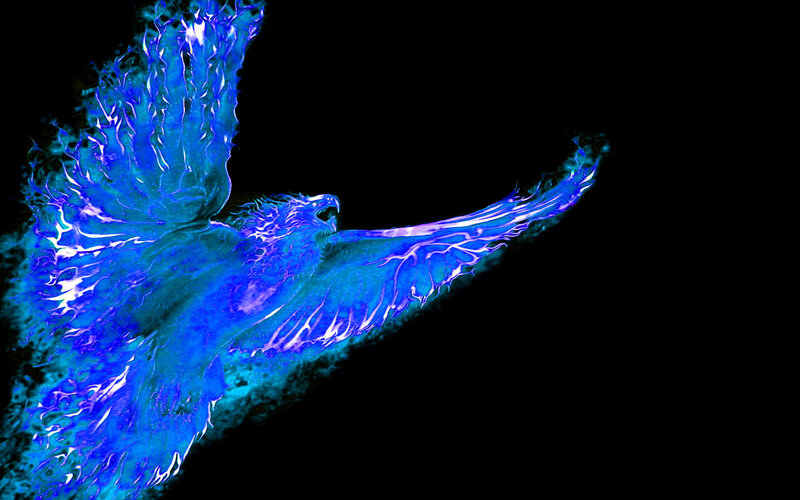 blue phoenix in flight