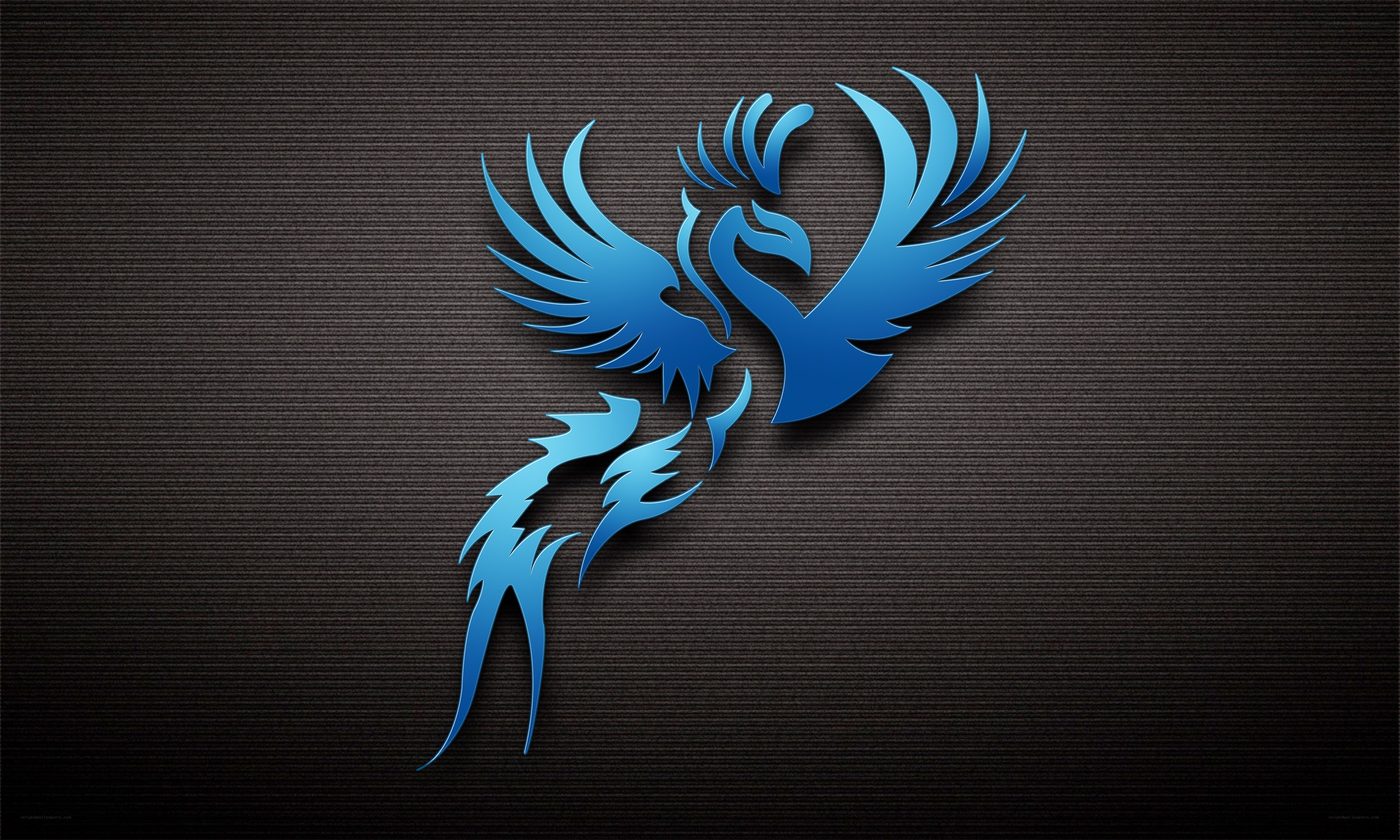 blue phoenix logo on dark background