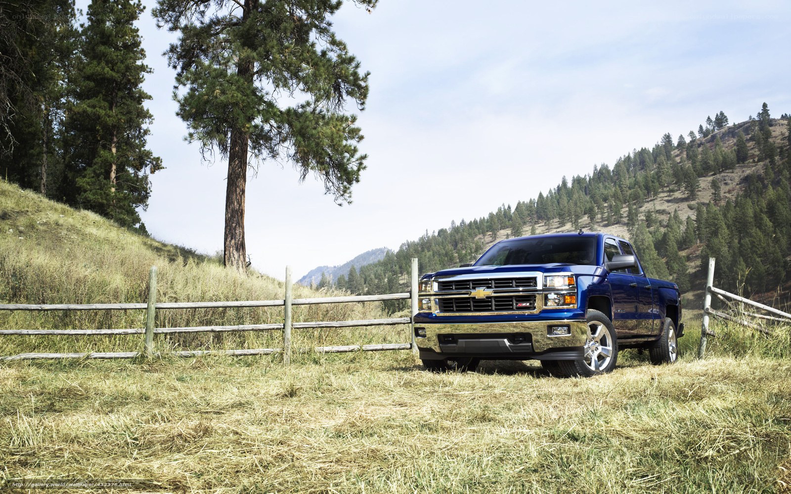 Blue pickup truck in a field