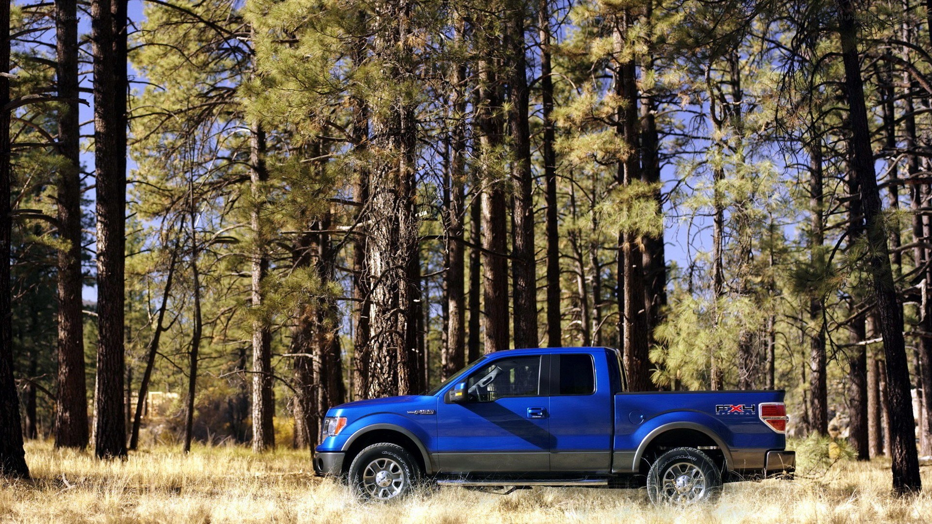 Blue pickup truck in forest