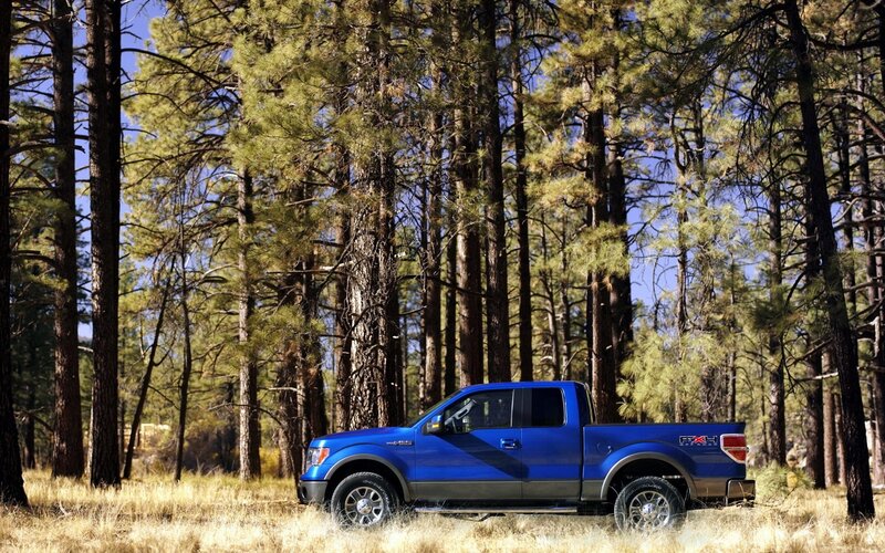 Blue pickup truck in forest