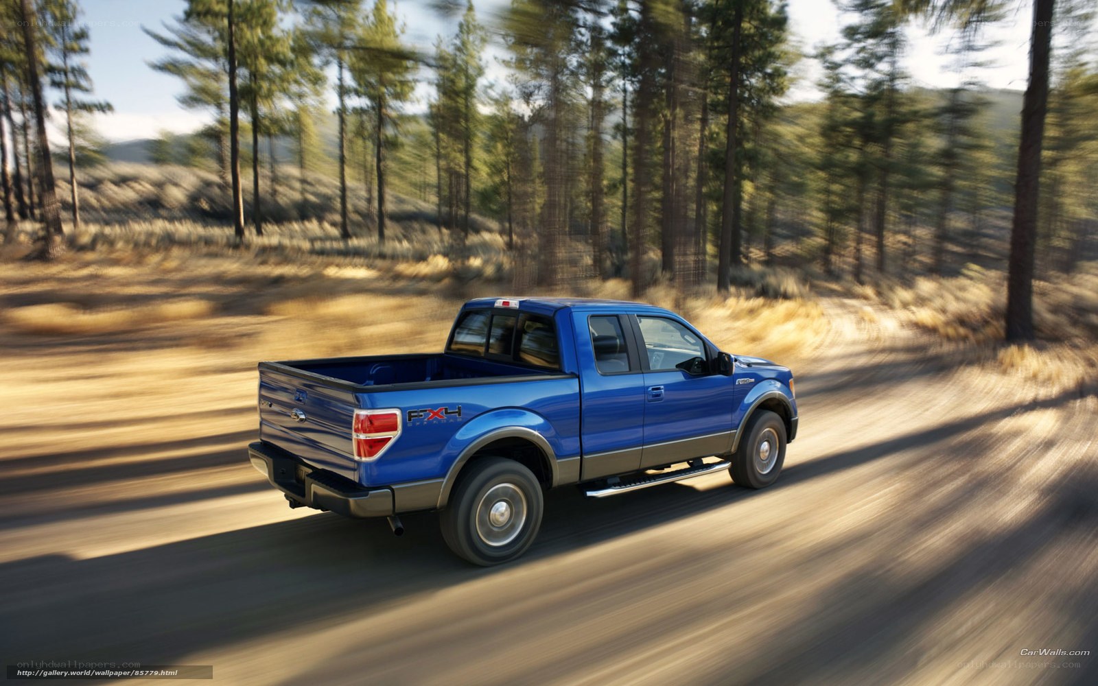 blue pickup truck on forest road