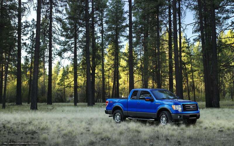 Blue Pickup Truck — Serene, Afternoon