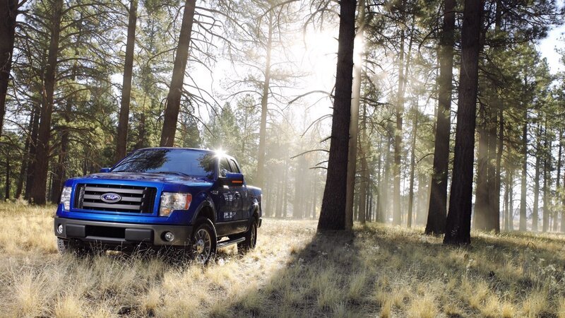 Blue Pickup Truck — Serene, Morning, Photograph, Forest